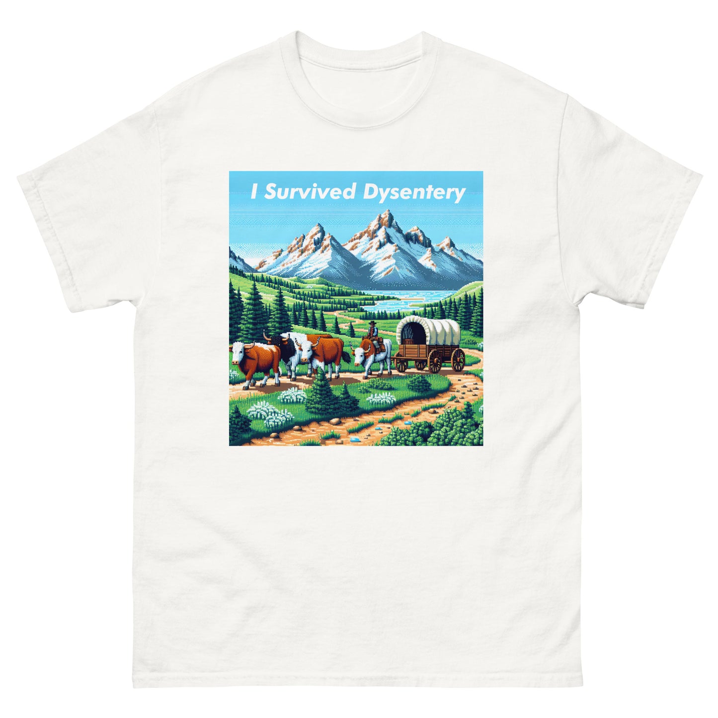 Dysentery Unisex Meme T-shirt